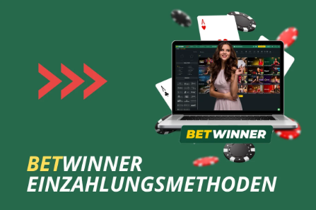 Betwinner Bookmaker Your Gateway to Exciting Sports Betting